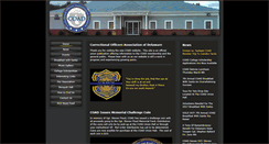 Desktop Screenshot of coadinfo.org